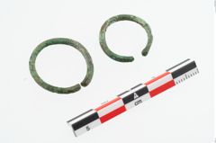 Foto von Bronzering (NHMW-PRAE-003485)